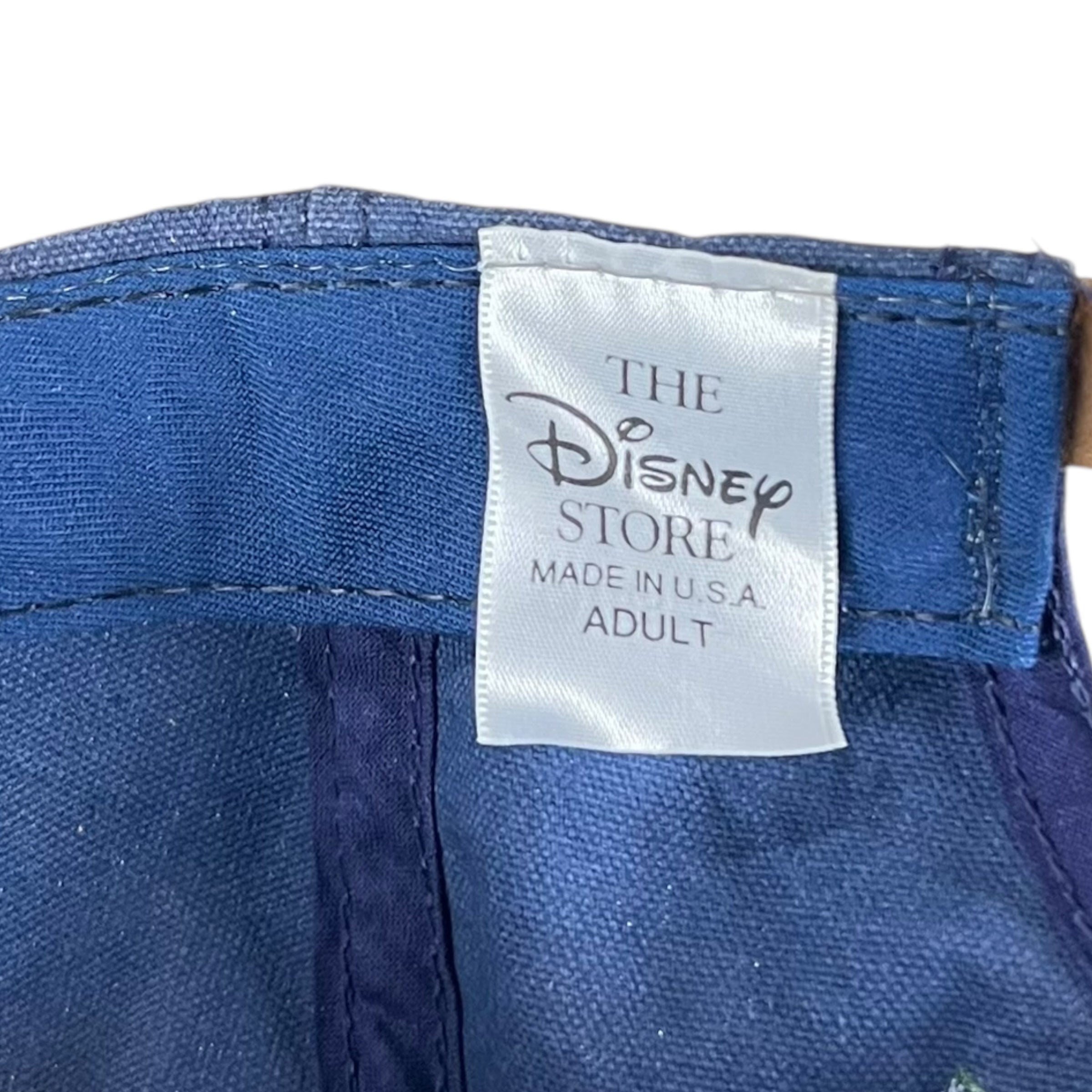 Vintage Disney Winnie The Pooh Acorns StrapBack Blue/Brown