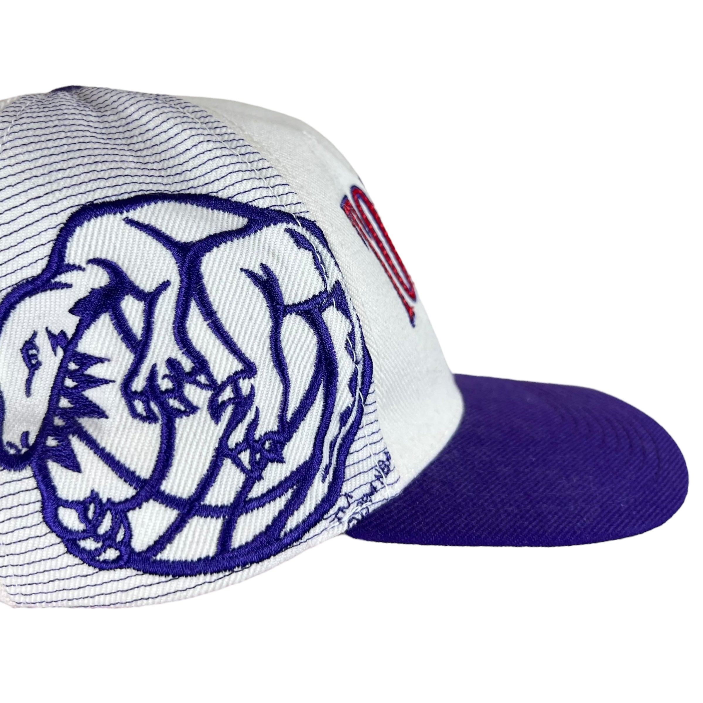 Vintage Sports Specialties Toronto Raptors Laser SnapBack