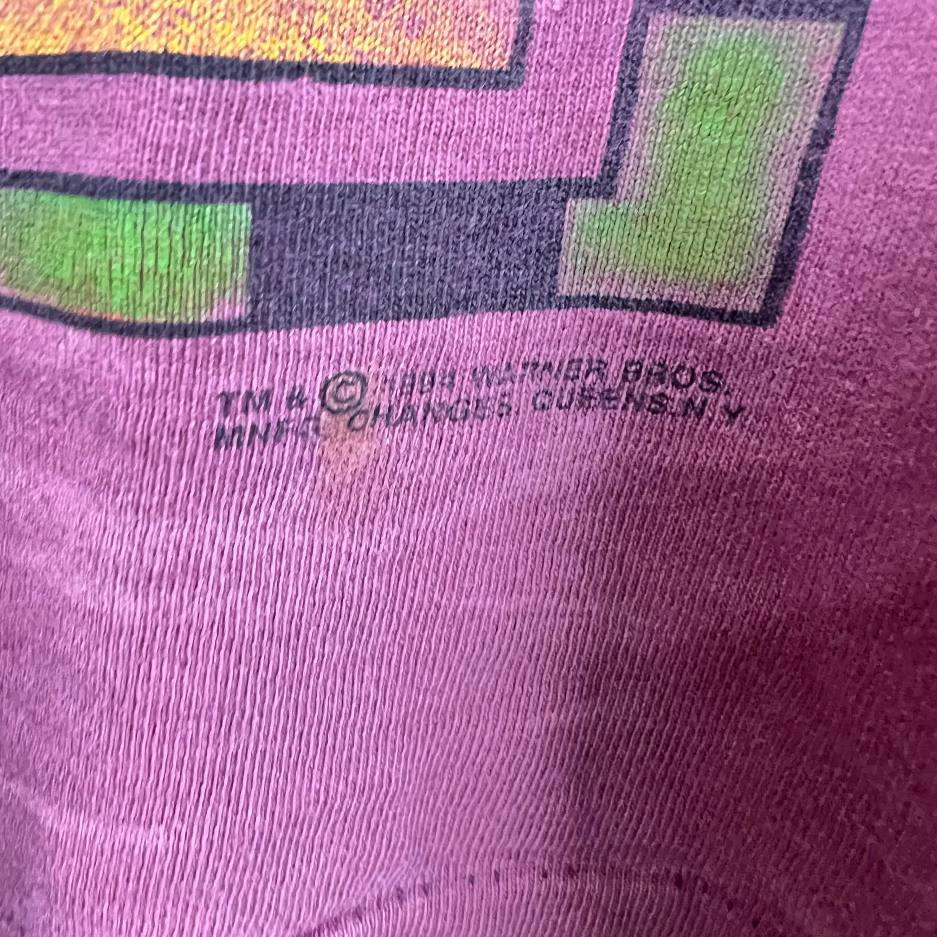 1994 Acme Rugged Taz & Friends Campfire Tee Faded Burgundy