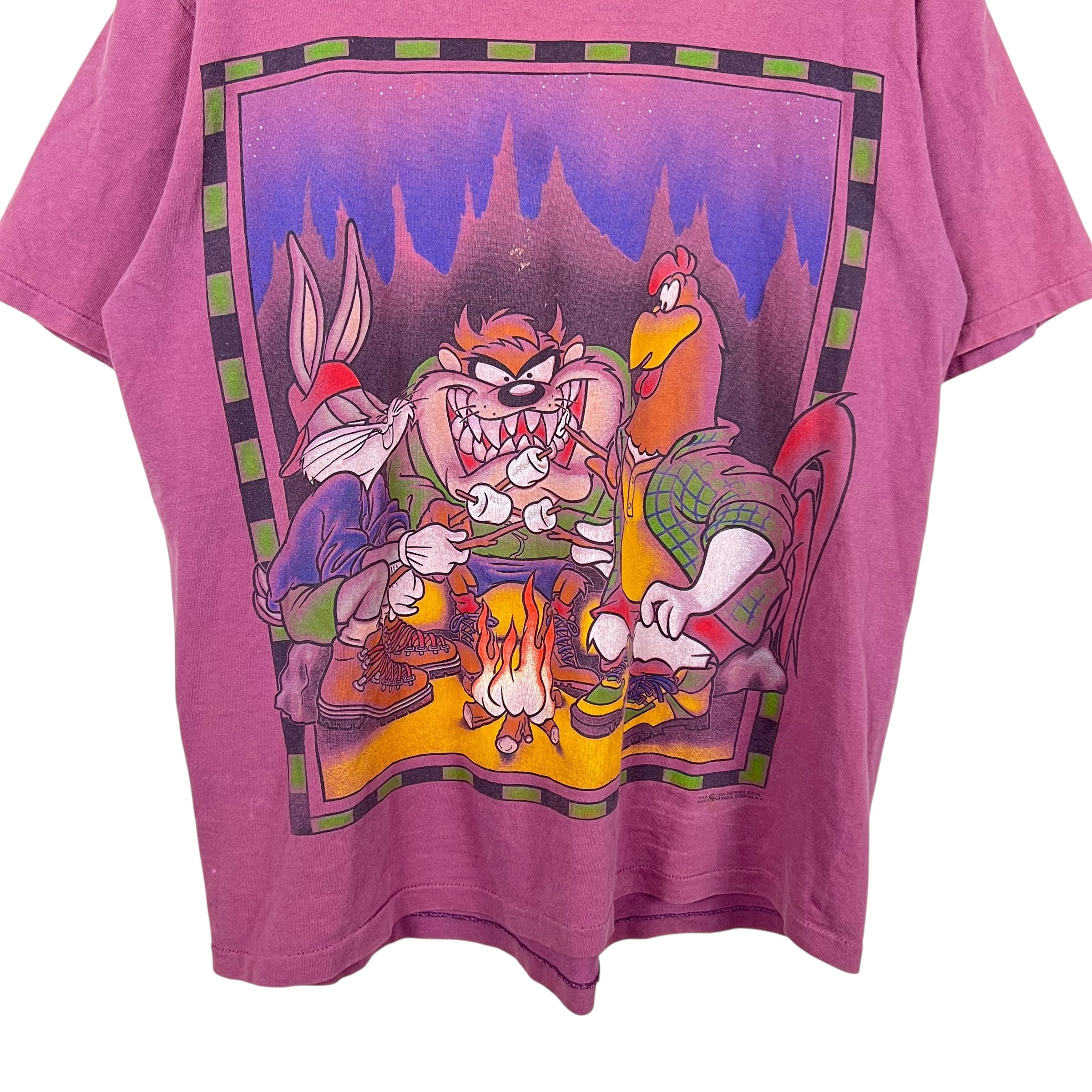 1994 Acme Rugged Taz & Friends Campfire Tee Faded Burgundy