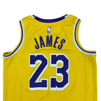 Vintage Nike NBA Los Angeles Lakers LeBron James Away Jersey