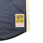Vintage Mitchell & Ness MLB New York Yankees 2009 Derek Jeter Jersey