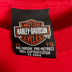 2001 Harley Davidson Lethbridge, Alberta Flame Longsleeve Red
