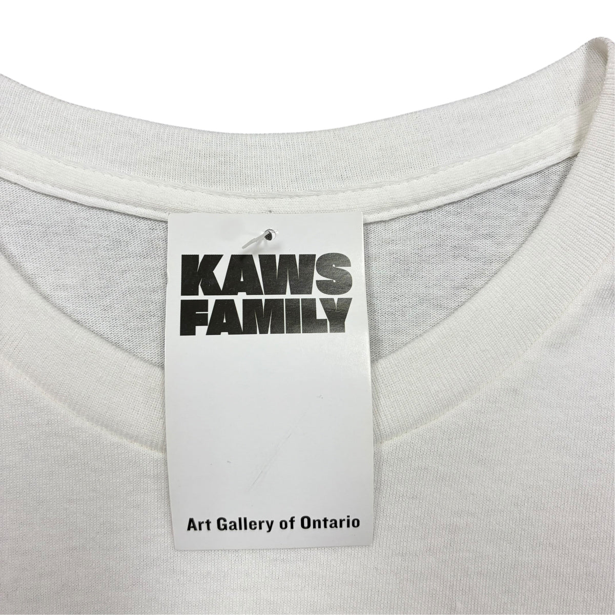 KAWS x Art Gallery of Ontario Family Tee White