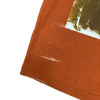 Vintage Artimonde Led Zeppelin Album Cover Tee Burnt Orange