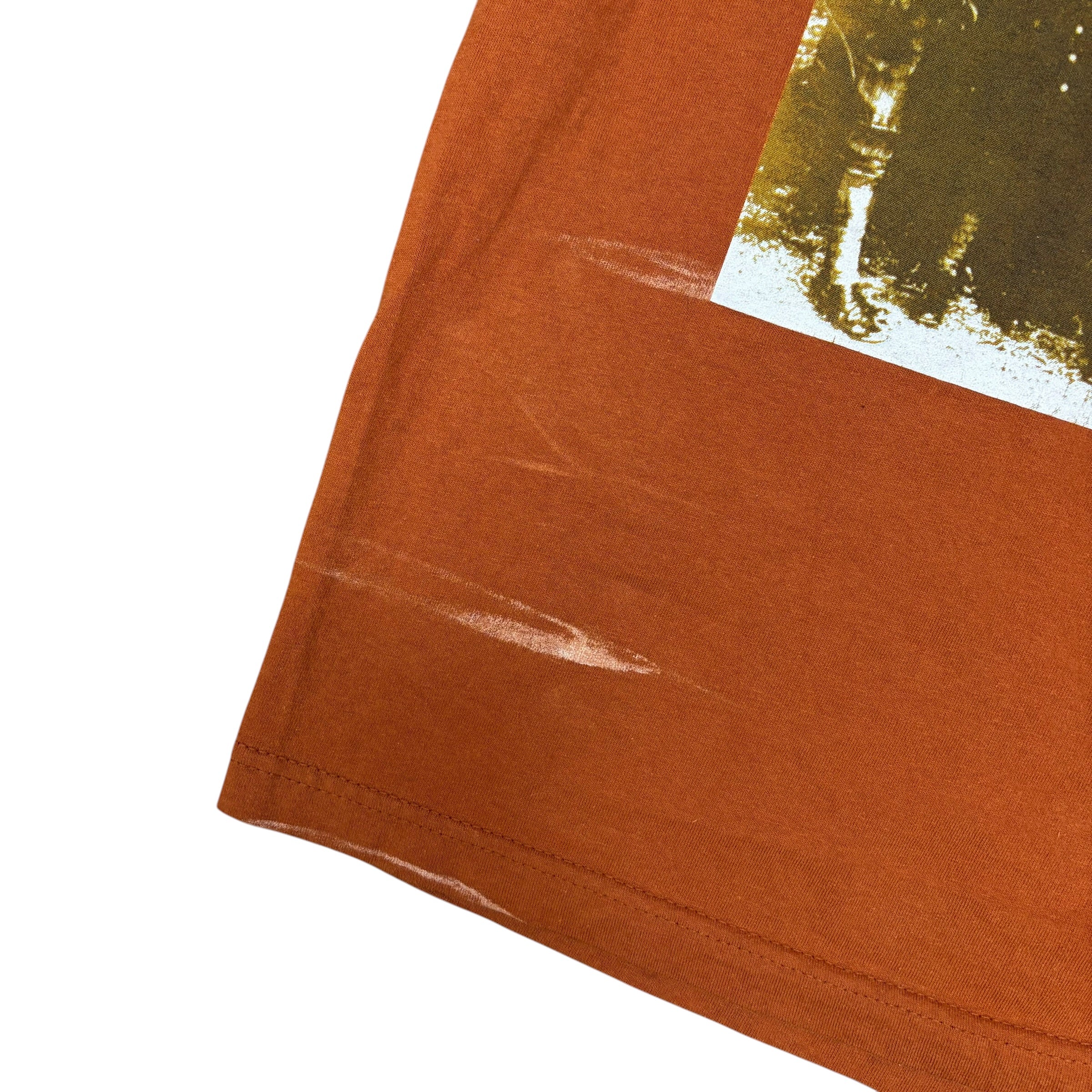 Vintage Artimonde Led Zeppelin Album Cover Tee Burnt Orange