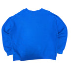 Vintage Lee Sport Hampton Pirates Arch Logo Crewneck Blue
