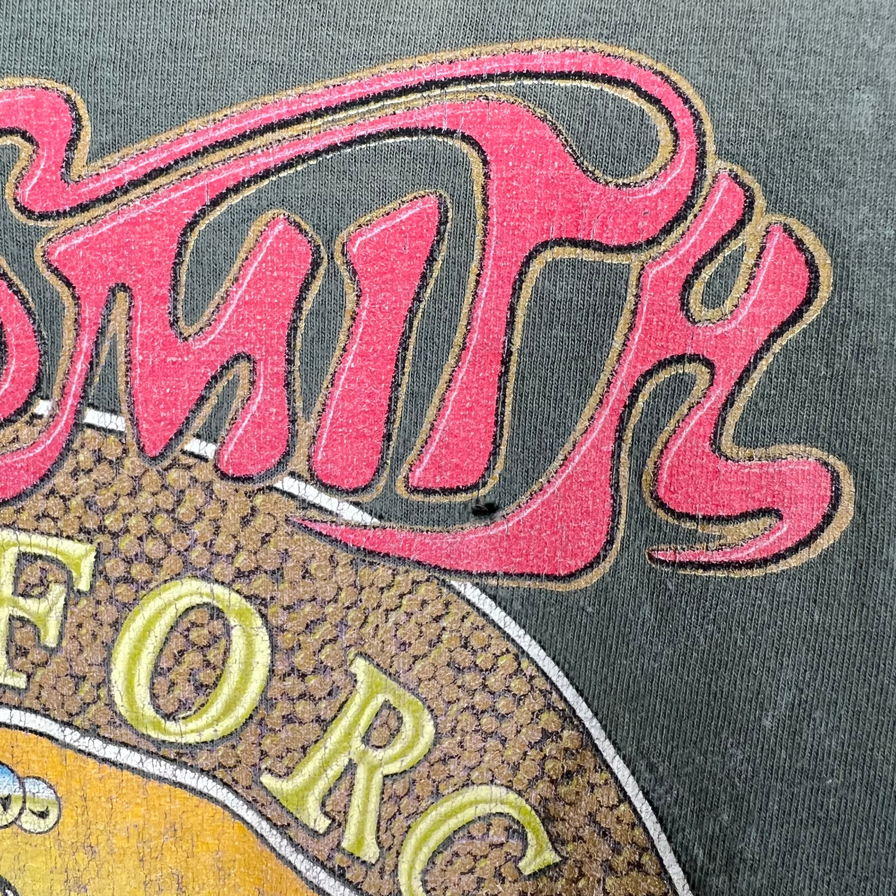 1999 Aerosmith “Nothing Can Stop This Rock” World Tour Tee Green