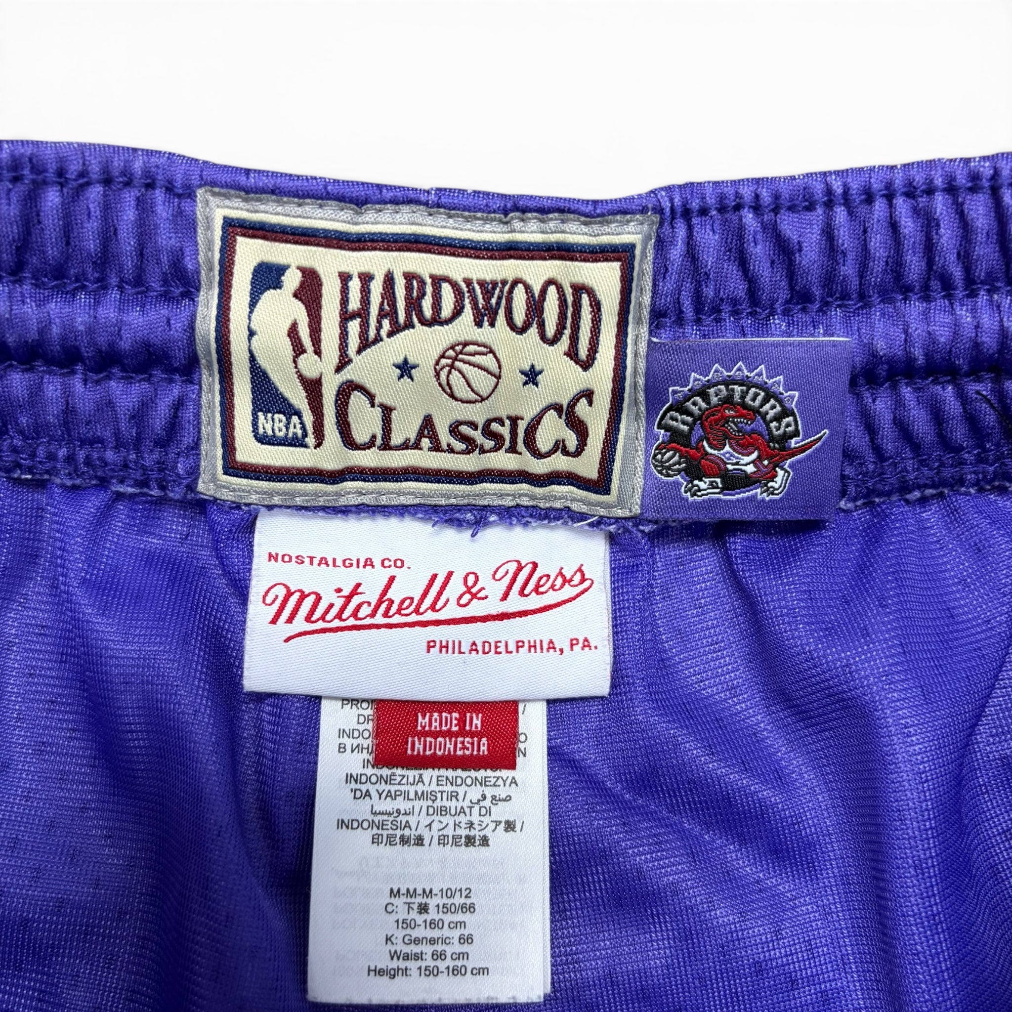 Vintage Mitchell & Ness Youth NBA Toronto Raptors Big Logo Mesh Shorts