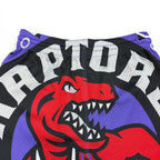 Vintage Mitchell & Ness Youth NBA Toronto Raptors Big Logo Mesh Shorts