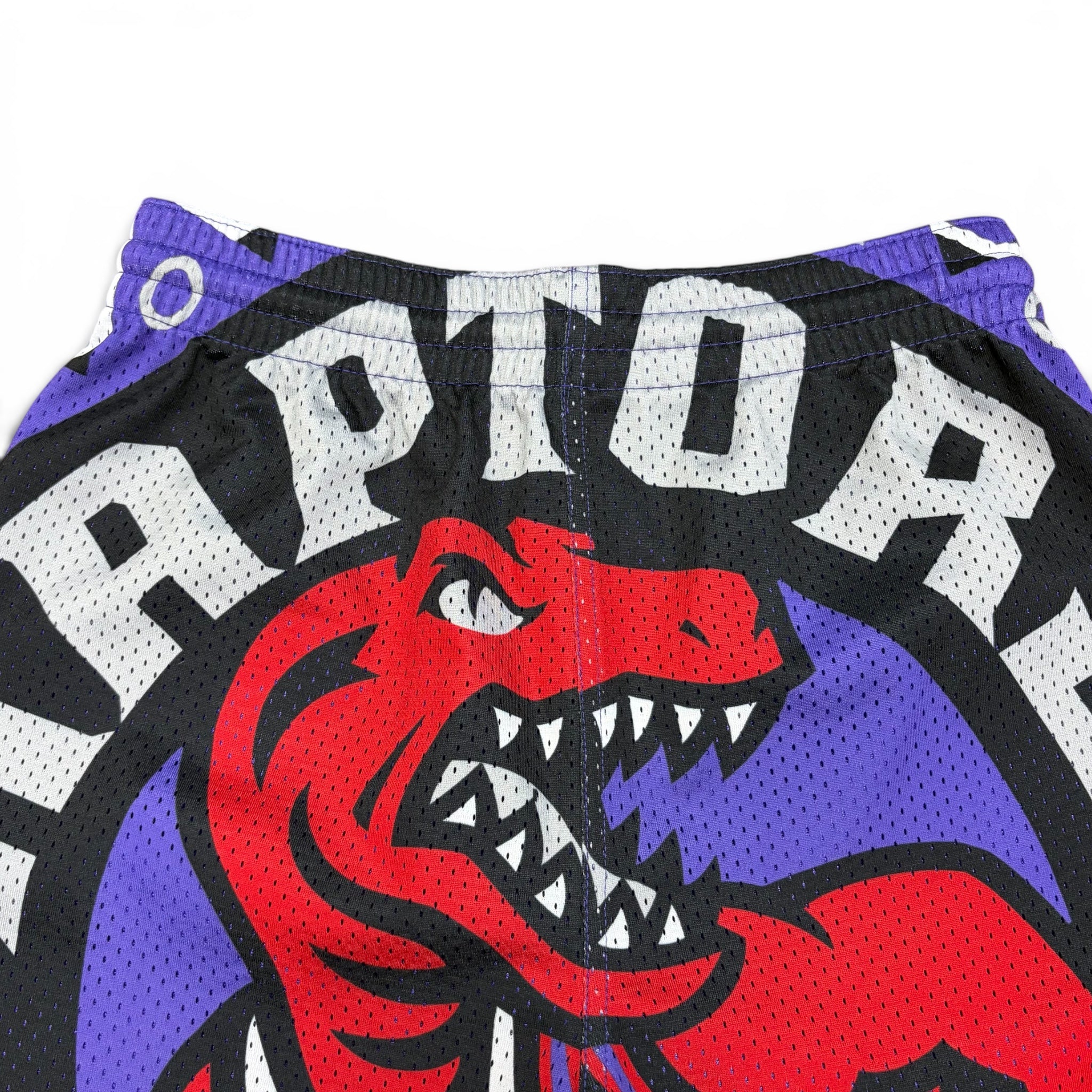 Vintage Mitchell & Ness Youth NBA Toronto Raptors Big Logo Mesh Shorts
