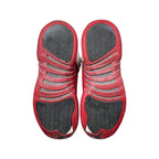 Jordan 12 Cherry (GS) (2009)