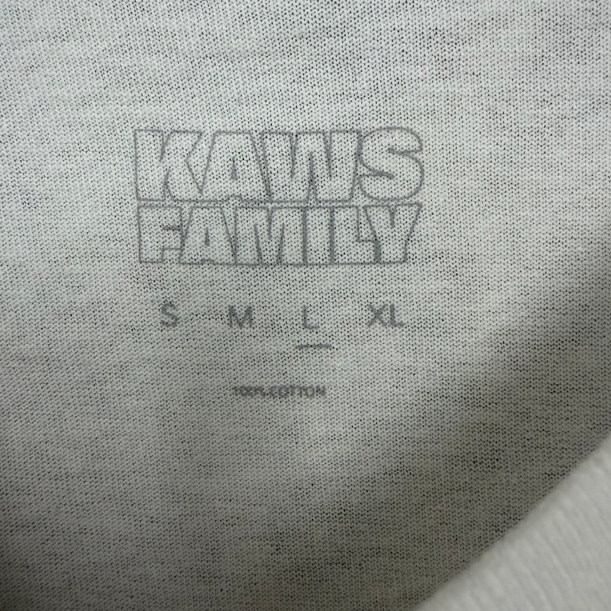 KAWS x Art Gallery of Ontario Family Tee White