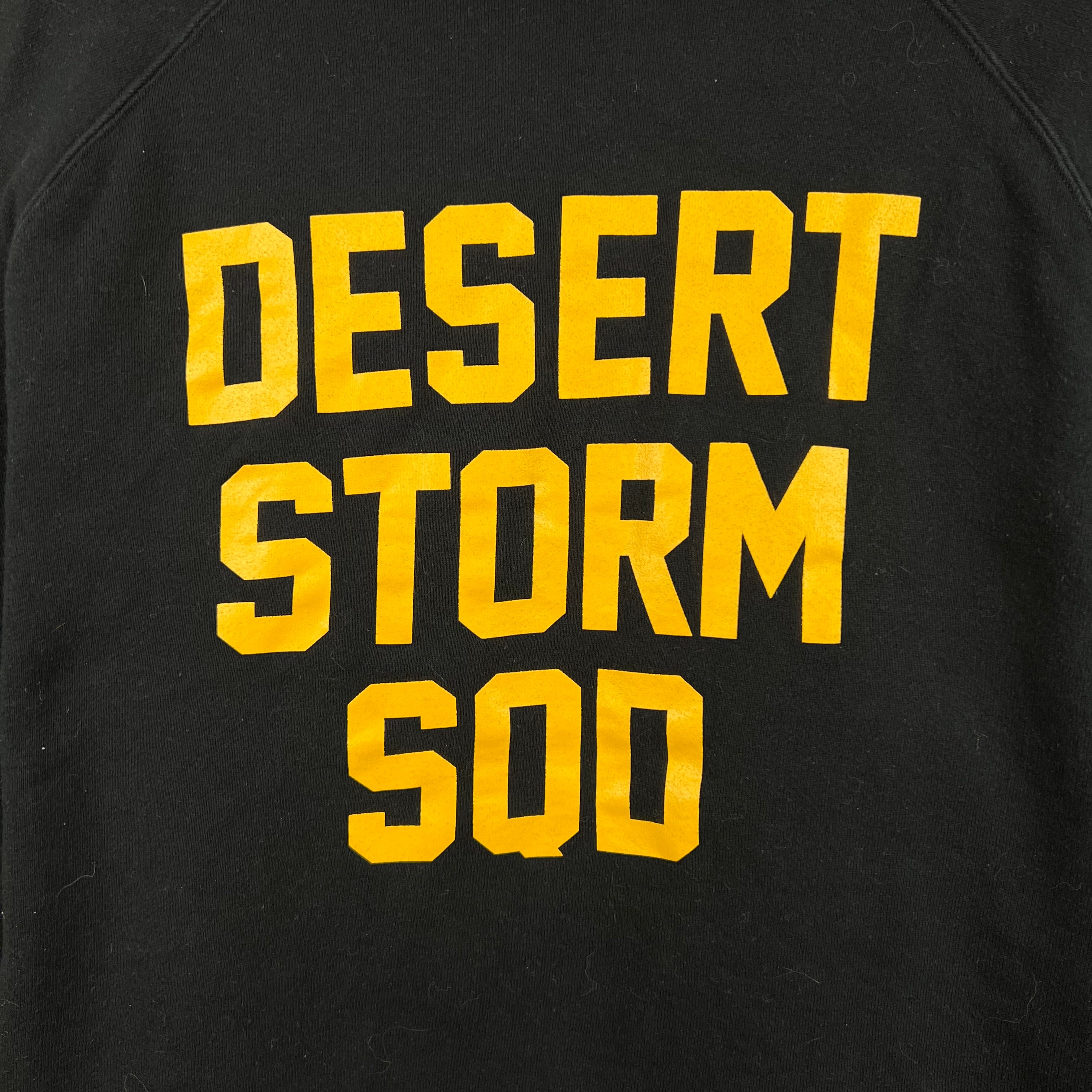 WTAPS Desert Storm Squad Hoodie Black