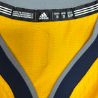 2016 Adidas NBA Indiana Pacers Paul George Alternate Jersey