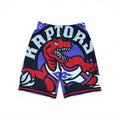 Vintage Mitchell & Ness Youth NBA Toronto Raptors Big Logo Mesh Shorts