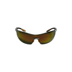 2006 Harley Davidson 800 Series Safety Sunglasses
