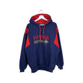 Vintage Athletic Software NHL Florida Panthers Logo Hoodie Blue/Red