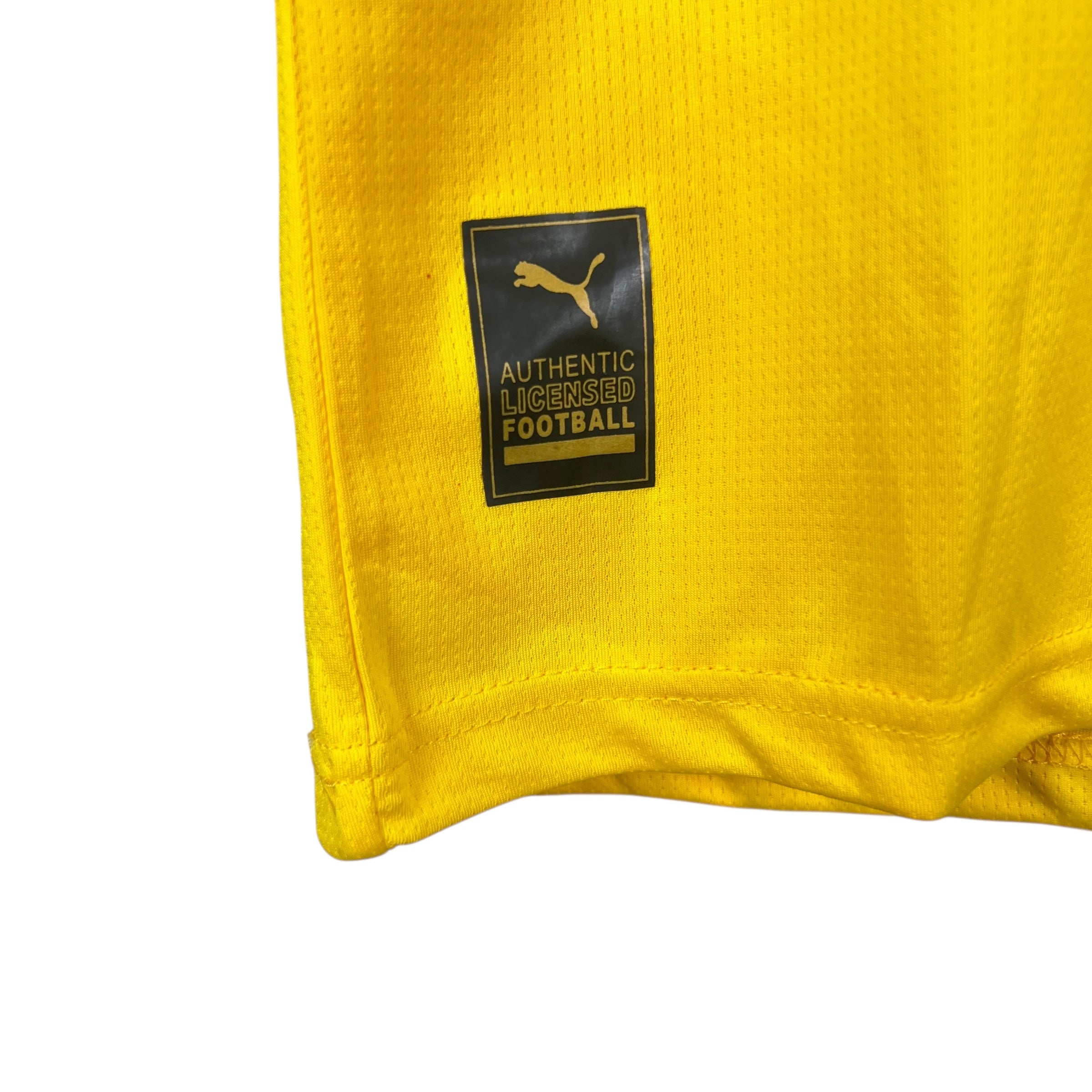 2023 Puma Ghana National Team Blank Home Jersey
